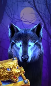 Book Of The Night Wolf